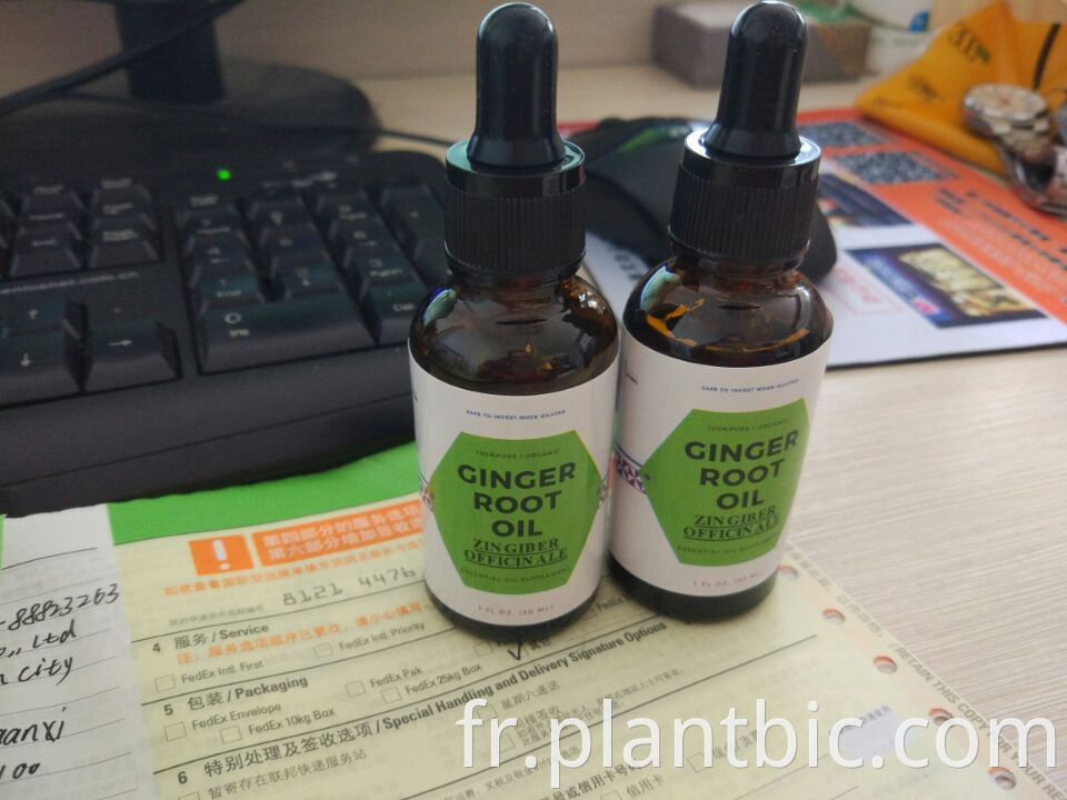 100% natural burdock extract oil (High quality and fast delivery)